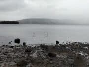 Huge turnout for Newbridge Pike Anglers open competition