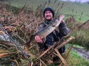 111 Pike for Whitewood Pike Angling Club at recent league outing