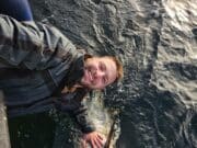 Exciting bluefin tuna season came to a close