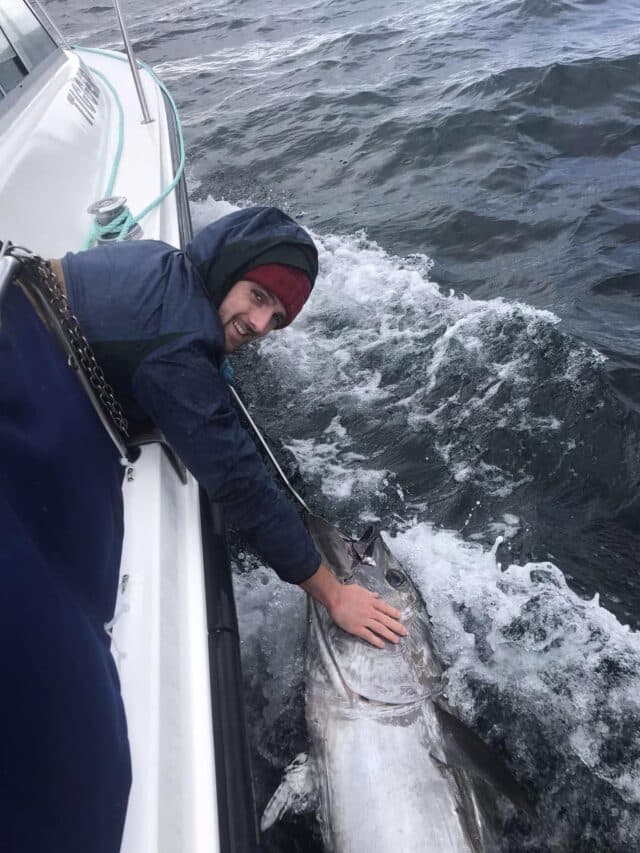 Bluefin tuna Kerry 24 October 2023