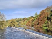 Irish Angling Update – 3 Nov 2023