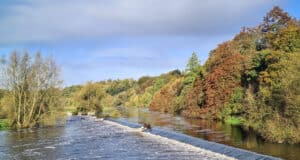Irish Angling Update – 3 Nov 2023