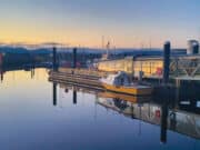 Charter fishing still available in Galway Bay