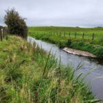 Deel_Raharney_Immediately_post_works2