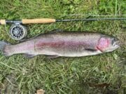 Southern County tackle test for South East Casting