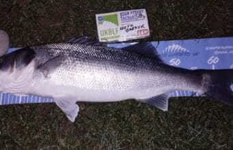 Bass back on the feed after autumn storms