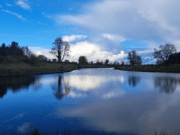 Denis Goulding wins 2nd leg of AWOL at Laois Angling Centre