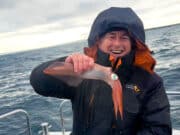 Halloween Monsters – Squid Chasing in Galway Bay