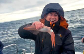 Halloween Monsters – Squid Chasing in Galway Bay