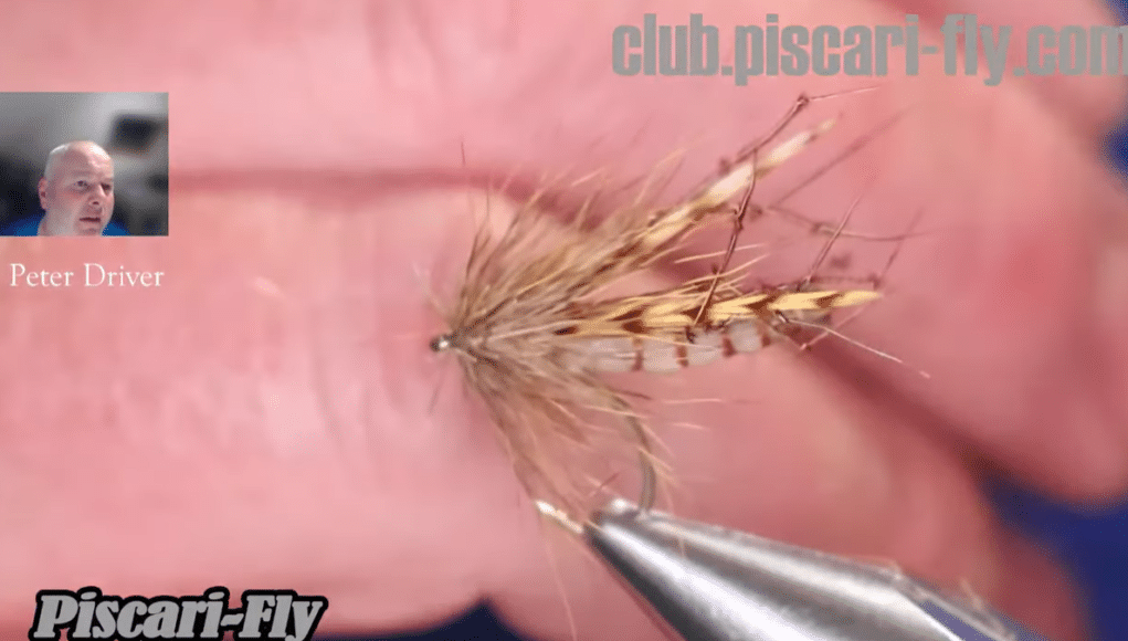 deer hair fly