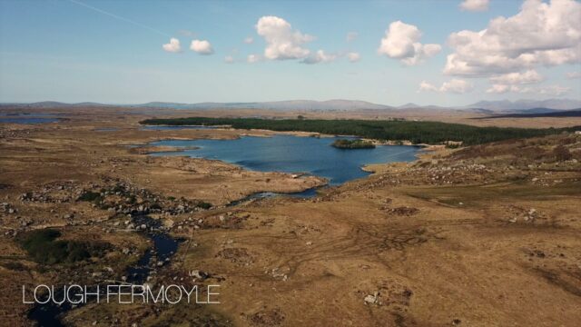 fermoyle
