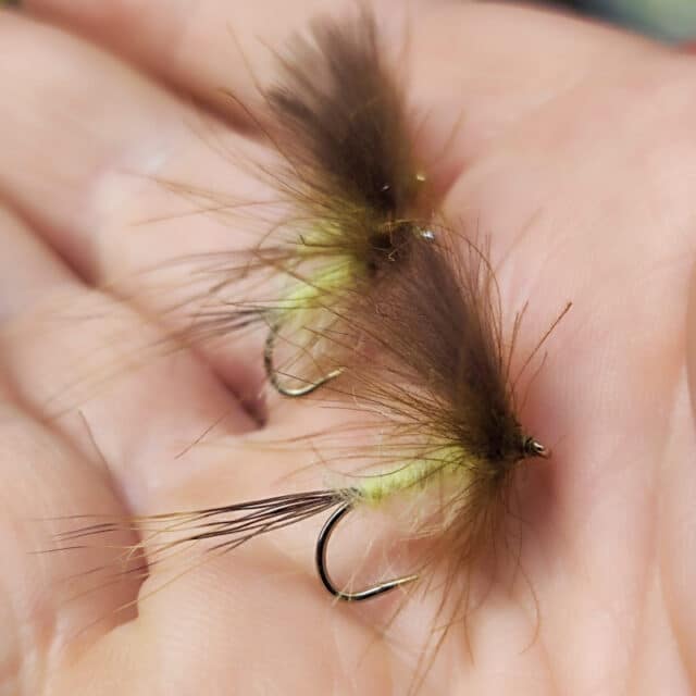 Jackie's CDC Mayfly