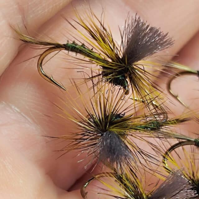 Parachute Olive