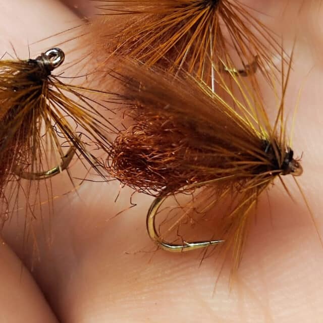 Jackie's Hatching Button Sedge