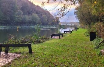 late autumn at oaklands
