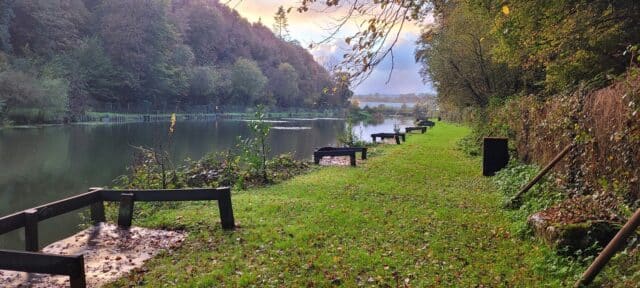 late autumn at oaklands