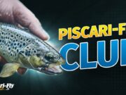Piscari-Fly Newsletter 7 November 2023
