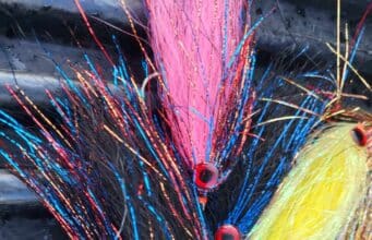 Piscari-Fly Newsletter 14 November 2014