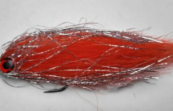 Piscari-Fly Newsletter 21 November 2023