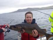 Nice ling and some chunky pollack for Killybegs Fishing Trips