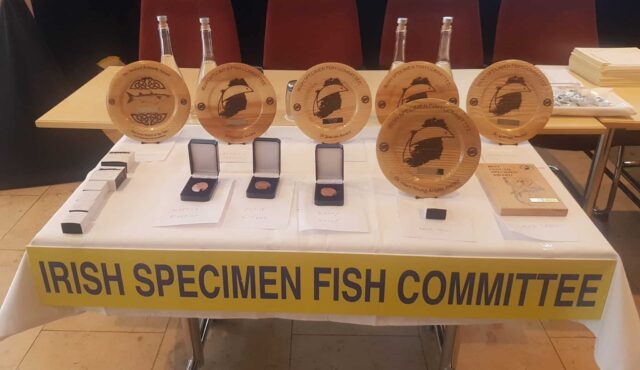 Specimen fish Awards