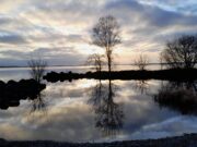 Irish Angling Update 8 December 2023