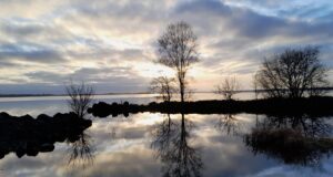 Irish Angling Update 8 December 2023