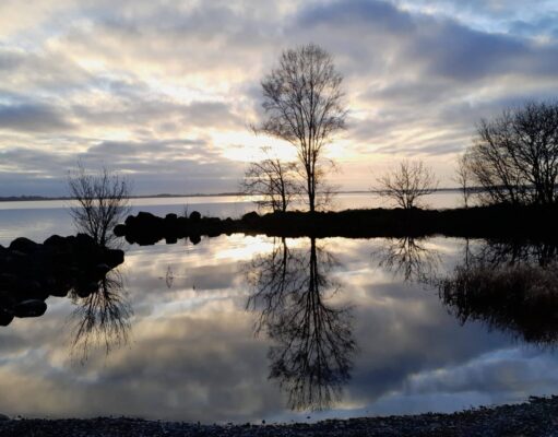Irish Angling Update 8 December 2023