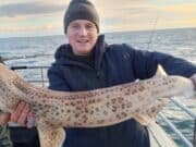 Short days don’t stop specimens coming in Wicklow