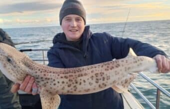Short days don’t stop specimens coming in Wicklow