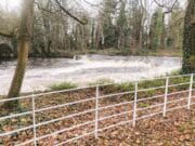 K Club fishing vouchers available