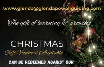 christmas offers