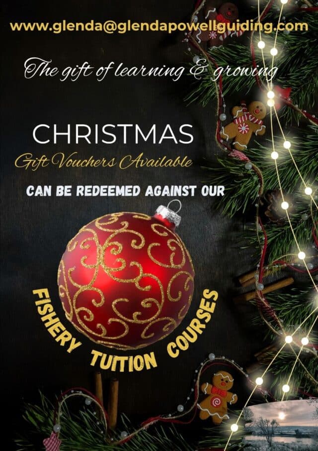 christmas offers