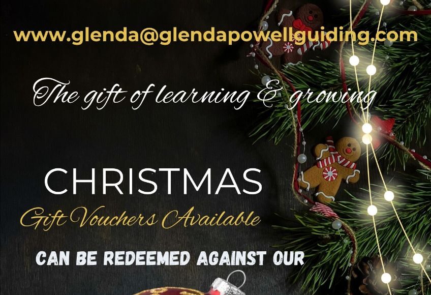 christmas offers