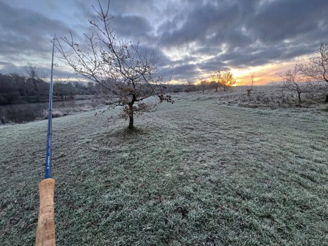 frosty morning