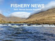Delphi Round-Up for 2023