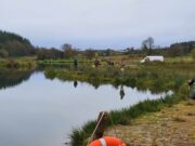 Piscari-Fly Newsletter 12 December 2023