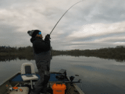 Coldwater lure tactics from L’Ile Verte Pike Lodge, part 2