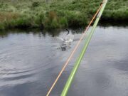 Screebe Fishery Round-Up For 2023