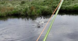 Screebe Fishery Round-Up For 2023