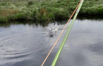Screebe Fishery Round-Up For 2023
