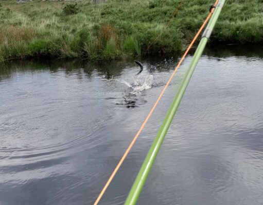 Screebe Fishery Round-Up For 2023