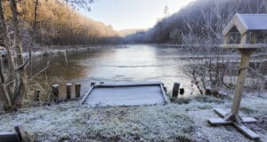 Irish Angling Update 19 January 2024