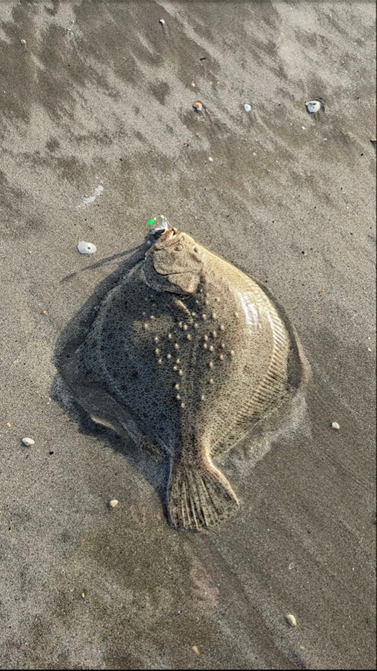 Nice turbot for Cormac Duddy