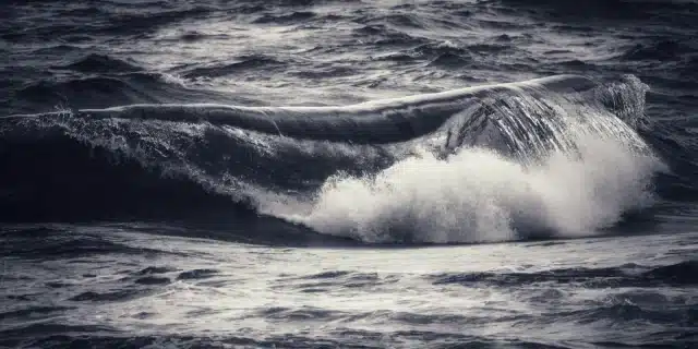Breaking Wave (c) Jim Hendrick