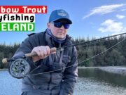 Laois Angling Centre fishing well with plenty of trout willing and able