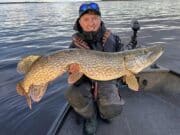 Slow day but a few big pike make up for it on Derg derg pike