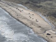 Irish Angling Update π£ 2 February 2024