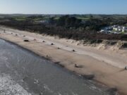 35th Irish Winter Shore Angling Festival – Report