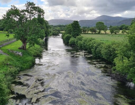 High water on the Flesk but salmon being caught River Flesk